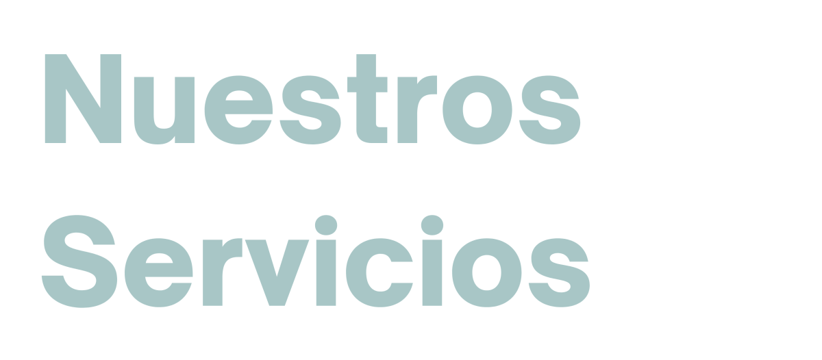 nuestros servicios