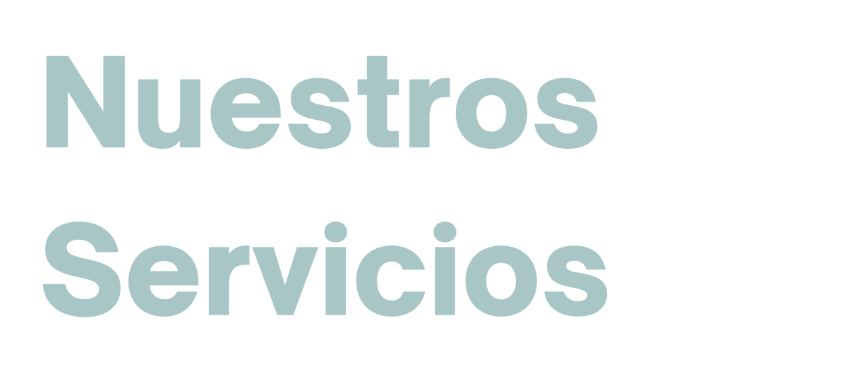 nuestros servicios